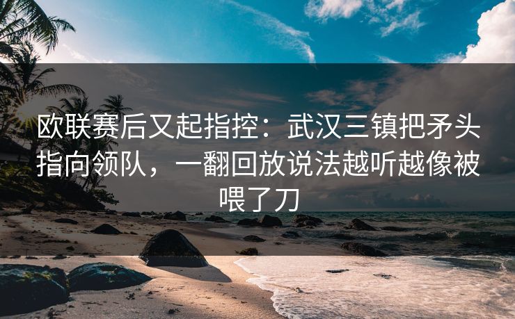 欧联赛后又起指控：武汉三镇把矛头指向领队，一翻回放说法越听越像被喂了刀