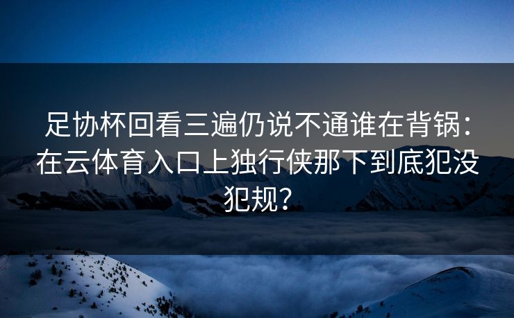 足协杯回看三遍仍说不通谁在背锅：在云体育入口上独行侠那下到底犯没犯规？
